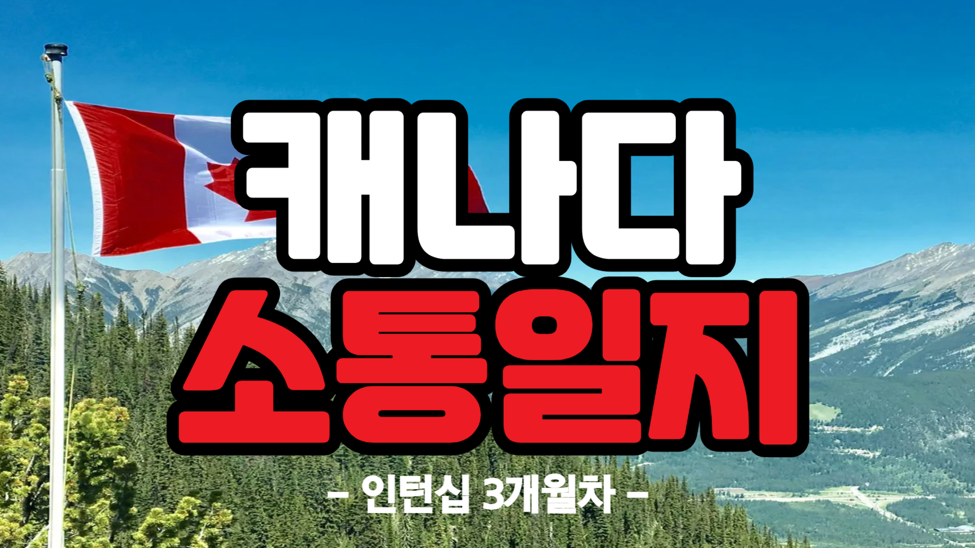 [캐나다] 인턴십 3개월차 (24/12/16~24/12/21)