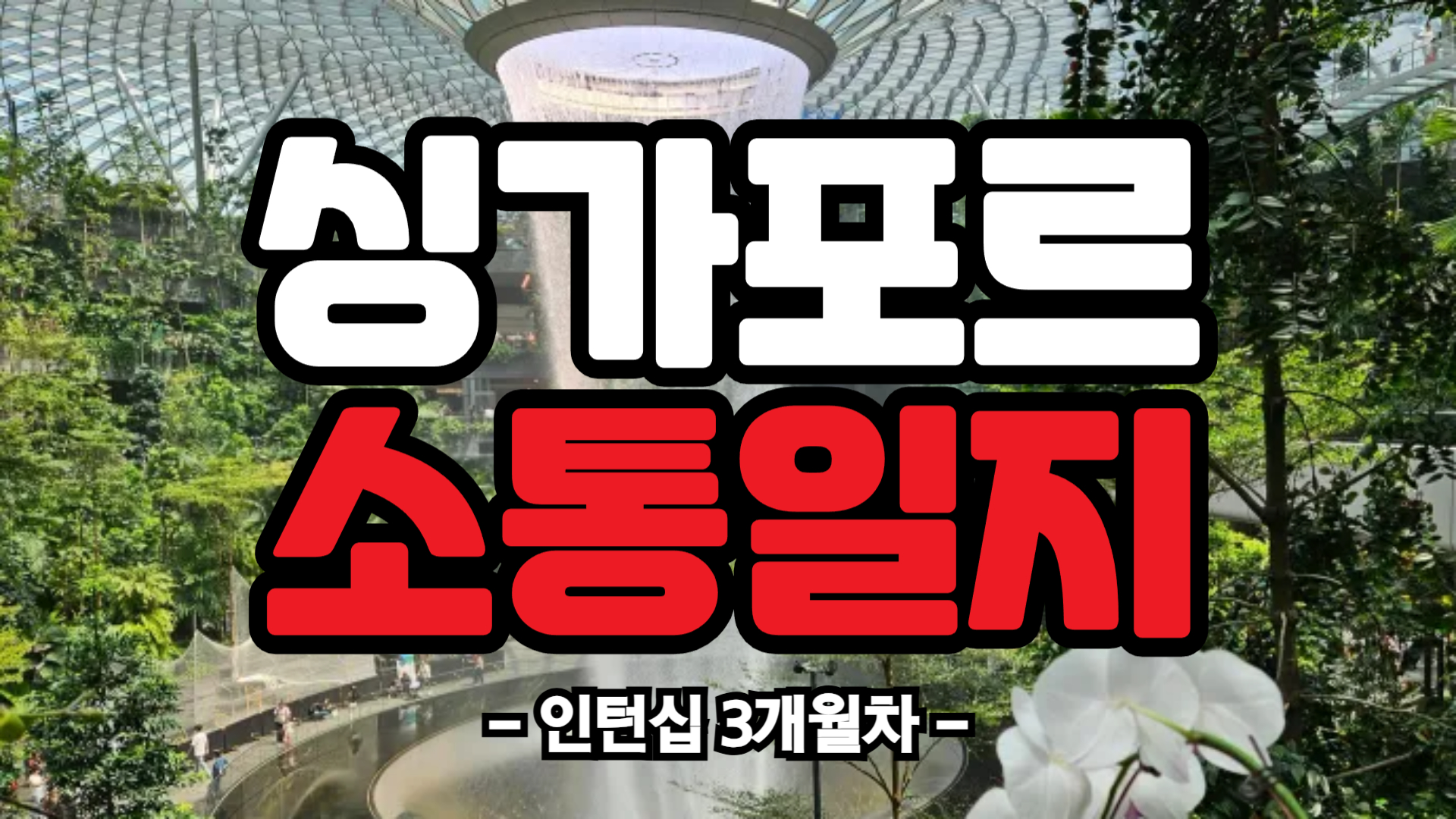 [싱가포르] 인턴십 3개월차 (25/04/14~25/04/20)